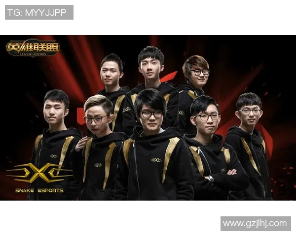 RNG战队的节奏体系解析与英雄联盟战术创新探讨